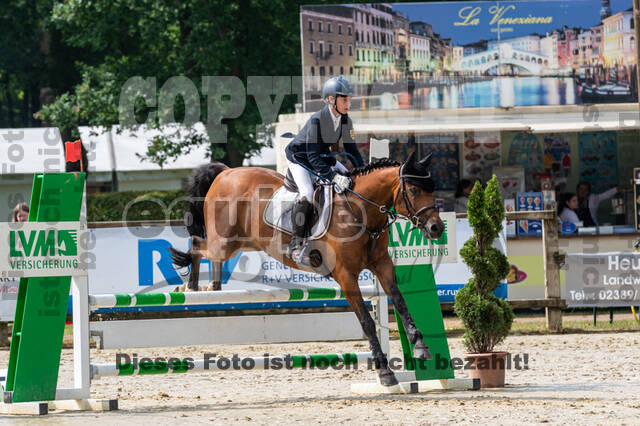 Goldene Schärpe 2021 - Ponys