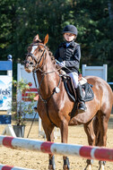 RFV Dinslaken-Hiesfeld (Herbstturnier)