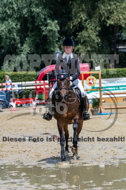 Goldene Schärpe 2021 - Ponys
