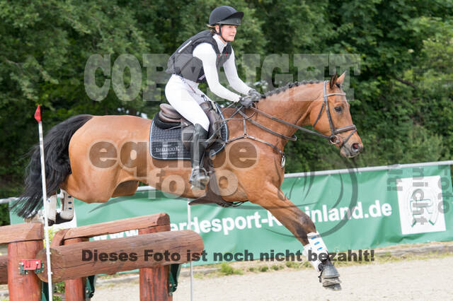 Eventing im Pferdesportzentrum Rheinland