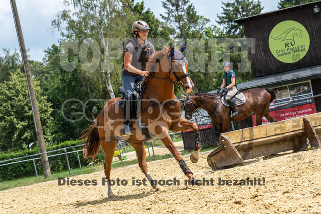 Hunter Geländetraining 10.07.2021 (Sonsbeck)