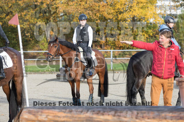 IGV Lehrgang der Sieger der Cups mit Frank Ostholt