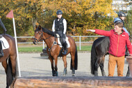 IGV Lehrgang der Sieger der Cups mit Frank Ostholt