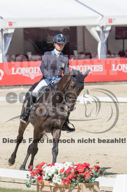FEI European Championship