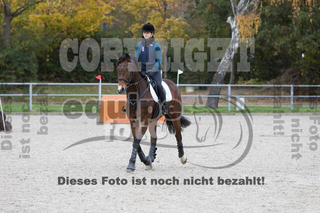 IGV Lehrgang der Sieger der Cups mit Frank Ostholt