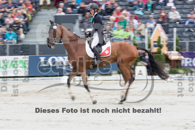 FEI European Championship Eventing 2019