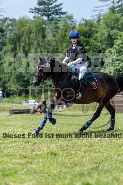 Goldene Schärpe 2021 - Ponys