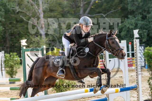 RFV Dinslaken-Hiesfeld (Herbstturnier)
