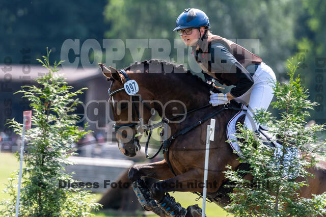 Goldene Schärpe 2021 - Ponys