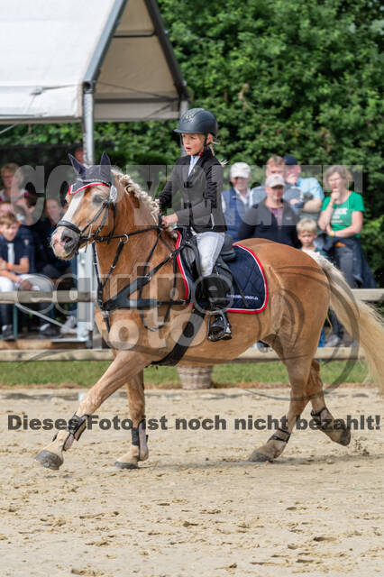 Goldene Schärpe 2021 - Ponys
