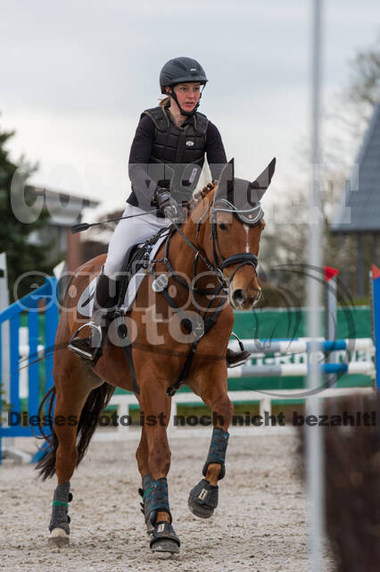 Eventing im Pferdesportzentrum Rheinland (Late Entry 14.03.2022)