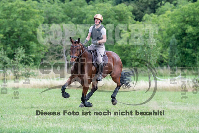 Bonn-Rodderberg Late-Entry-Vielseitigkeit (30.06.2020)
