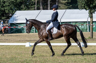 Kronenberg - De Peelbergen (August 2020)