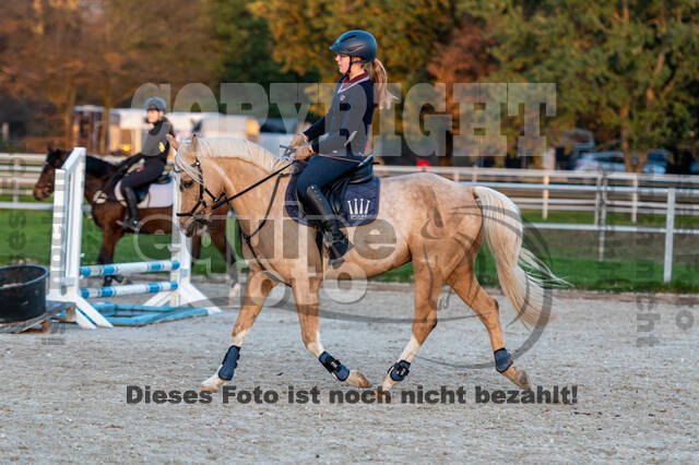 IGV Lehrgang der Sieger der Cups mit Frank Ostholt