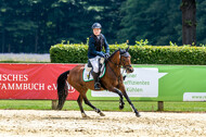 Goldene Schärpe 2021 - Ponys