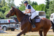 Late-Entry Vielseitigkeit Hamminkeln/Wesel (01.+02.08.2020)