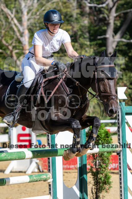 RFV Dinslaken-Hiesfeld (Herbstturnier)