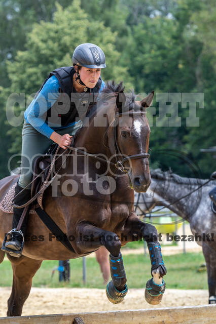 Hunter Geländetraining 10.07.2021 (Sonsbeck)