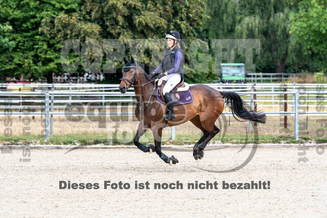 Late-Entry-Vielseitigkeit Langenfeld (11.+13./14.06.2020)