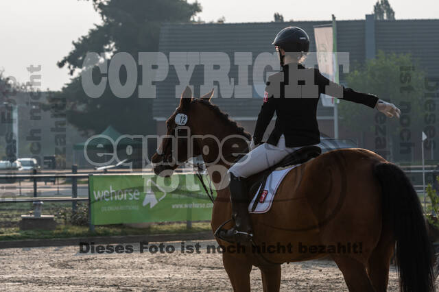 Goldene Schärpe 2020 - Pferde