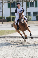 Eventing Langenfeld 2018