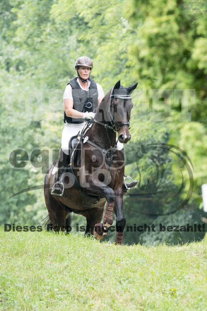 RFV Bad Honnef