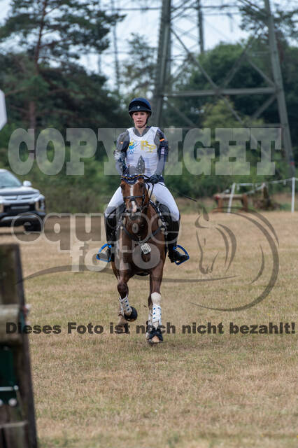 Late-Entry Vielseitigkeit Hamminkeln/Wesel (01.+02.08.2020)