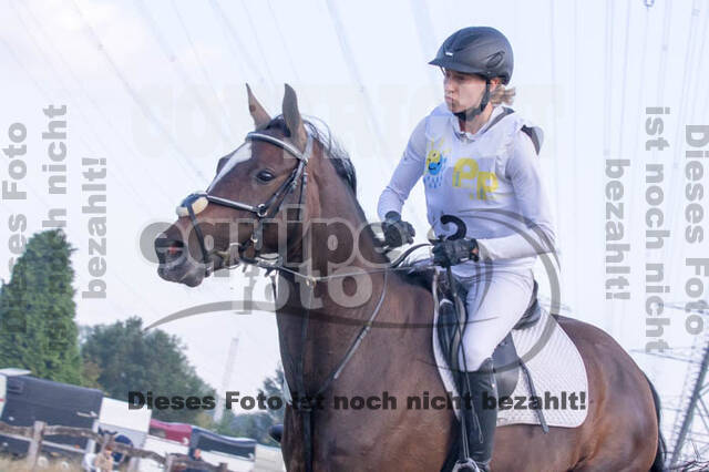 Vielseitigkeitsturnier RSV St. Hubertus Wesel Obrighoven