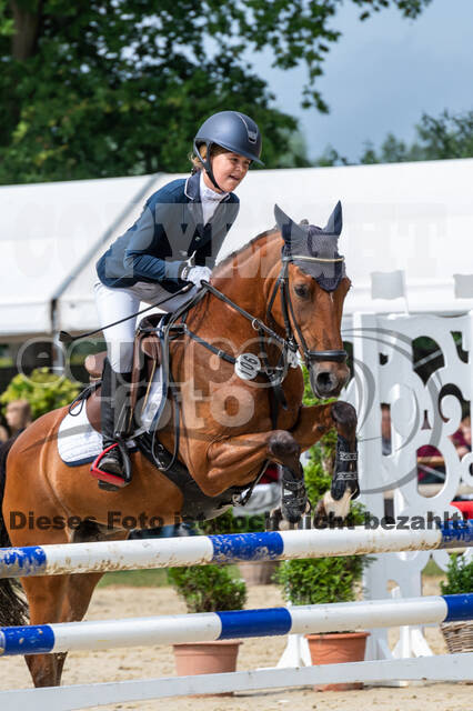 Goldene Schärpe 2021 - Ponys