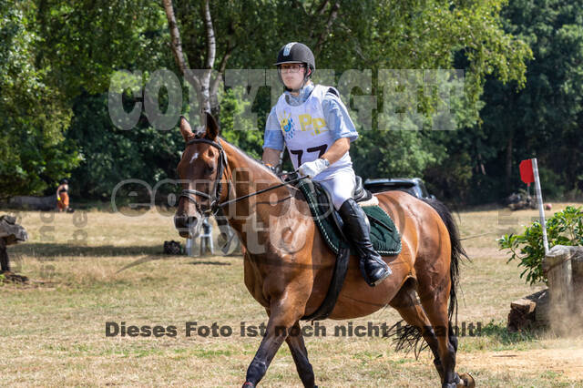 Late-Entry Vielseitigkeit Hamminkeln/Wesel (01.+02.08.2020)