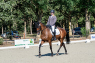 Kronenberg - De Peelbergen (August 2020)