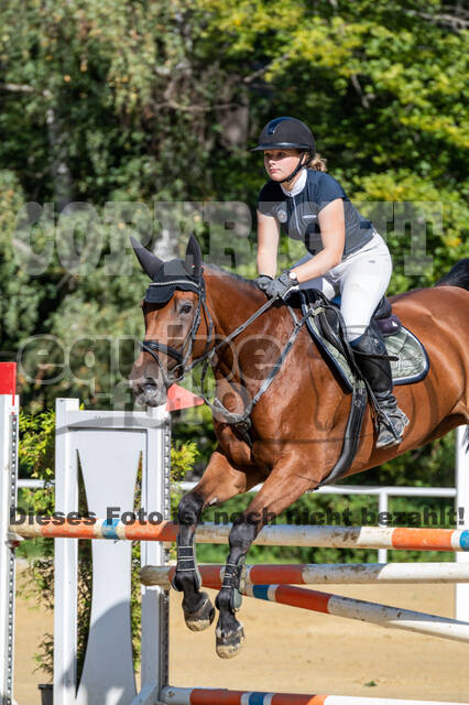 RFV Dinslaken-Hiesfeld (Herbstturnier)
