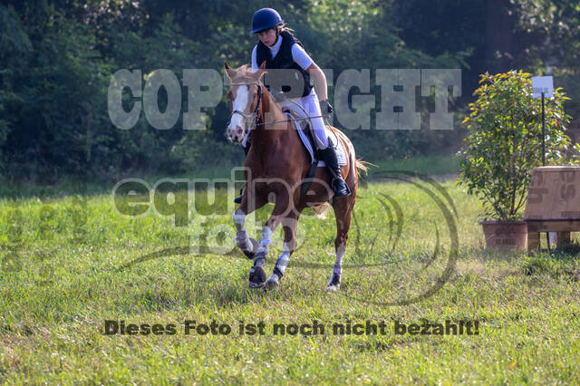 Late-Entry-Vielseitigkeit Gahlen (18.07.2020)