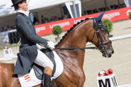 FEI European Championship Eventing 2017