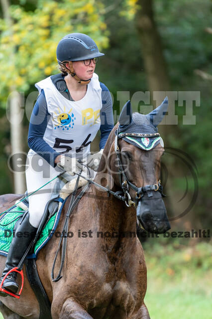 Vielseitigkeit RSV Wesel Obrighoven (26.+27.09.2020)