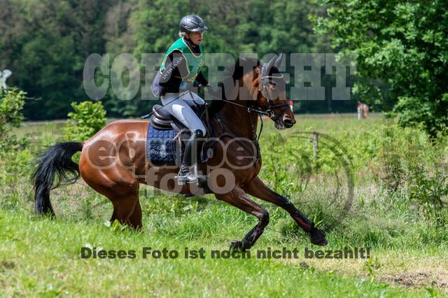 Westerstede Horse Trials (10.-13.06.2021)