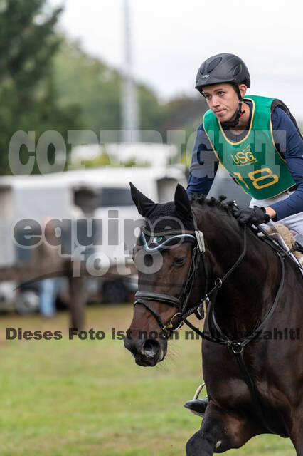 Vielseitigkeit RSV Wesel Obrighoven (26.+27.09.2020)