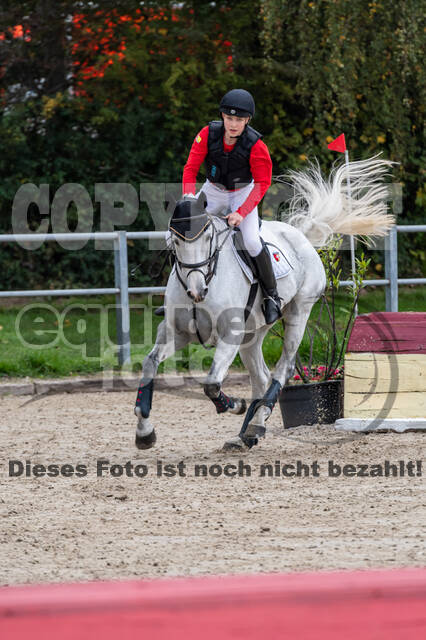 Goldene Schärpe 2020 - Pferde