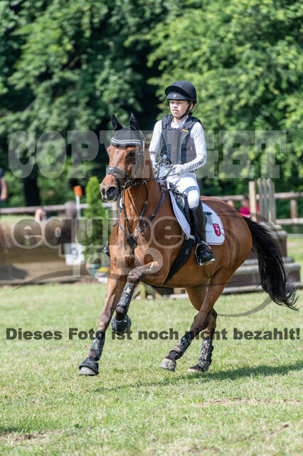 Goldene Schärpe 2021 - Ponys