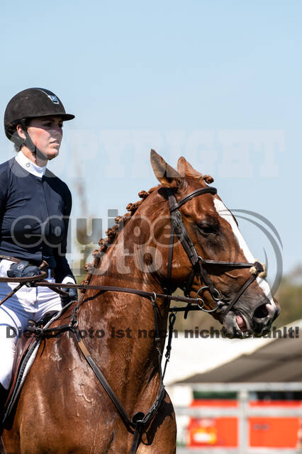 Kronenberg - De Peelbergen (August 2020)