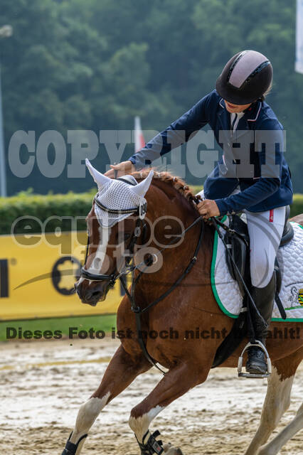 Goldene Schärpe 2021 - Ponys