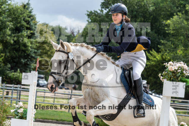 Late-Entry-Vielseitigkeit Langenfeld (06.+07.07.2020)