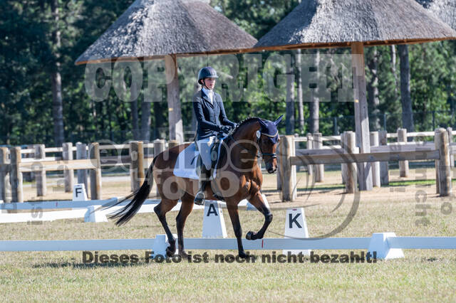 Kronenberg - De Peelbergen (August 2020)