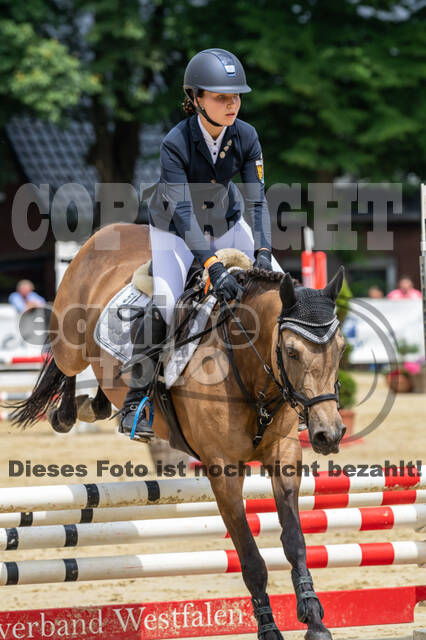 Goldene Schärpe 2021 - Ponys