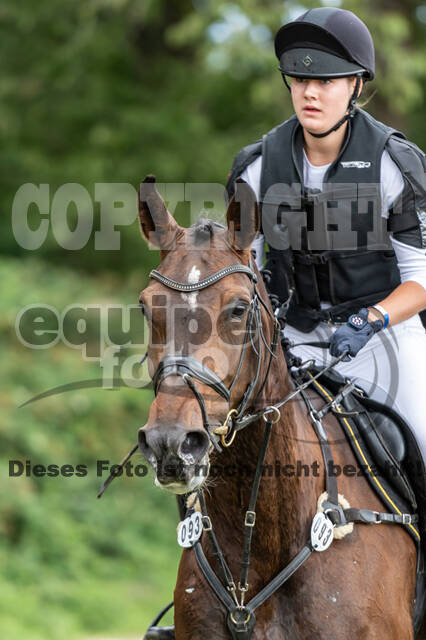 Late-Entry-Vielseitigkeit Langenfeld (06.+07.07.2020)