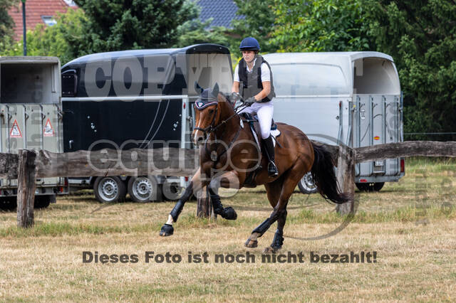 Late-Entry Vielseitigkeit Hamminkeln/Wesel (01.+02.08.2020)