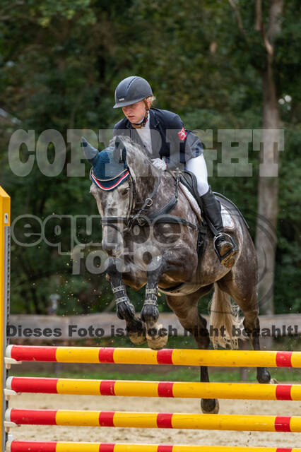 Vielseitigkeit RSV Wesel Obrighoven (26.+27.09.2020)