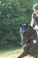 Goldene Schärpe 2021 - Ponys