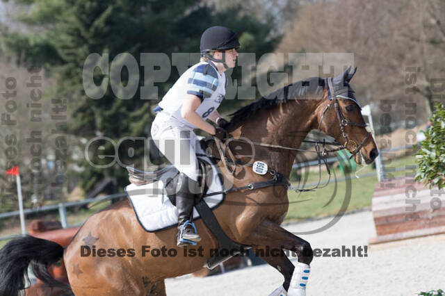 Eventing Langenfeld 2018