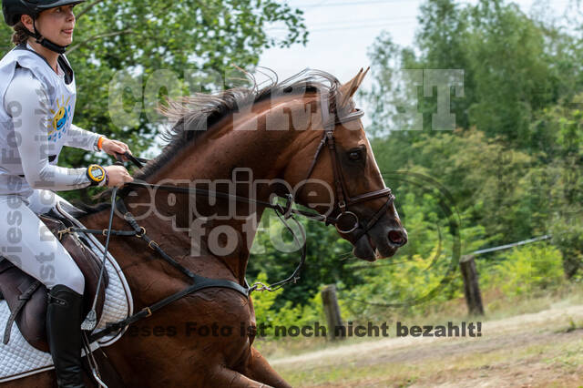 Late-Entry Vielseitigkeit Hamminkeln/Wesel (01.+02.08.2020)